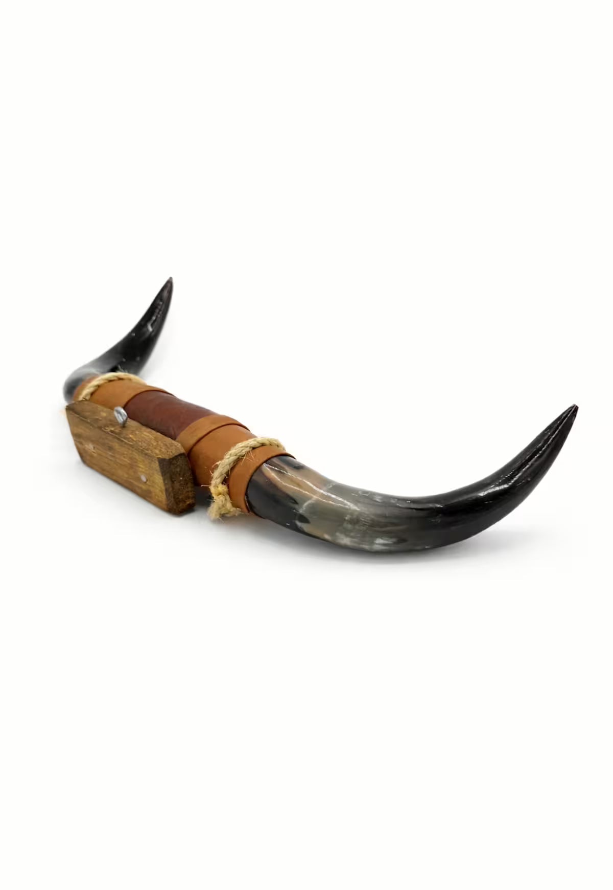Bull Horn Wall Object Model 4 - Natural Horn Unique Piece with Leather-Wood Mount