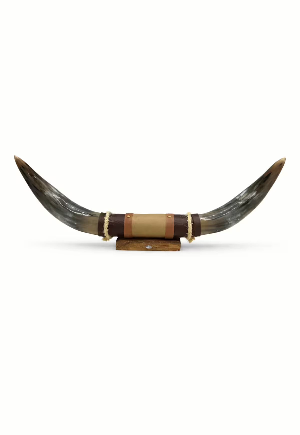 Bull Horn Wall Object Model 4 - Natural Horn Unique Piece with Leather-Wood Mount