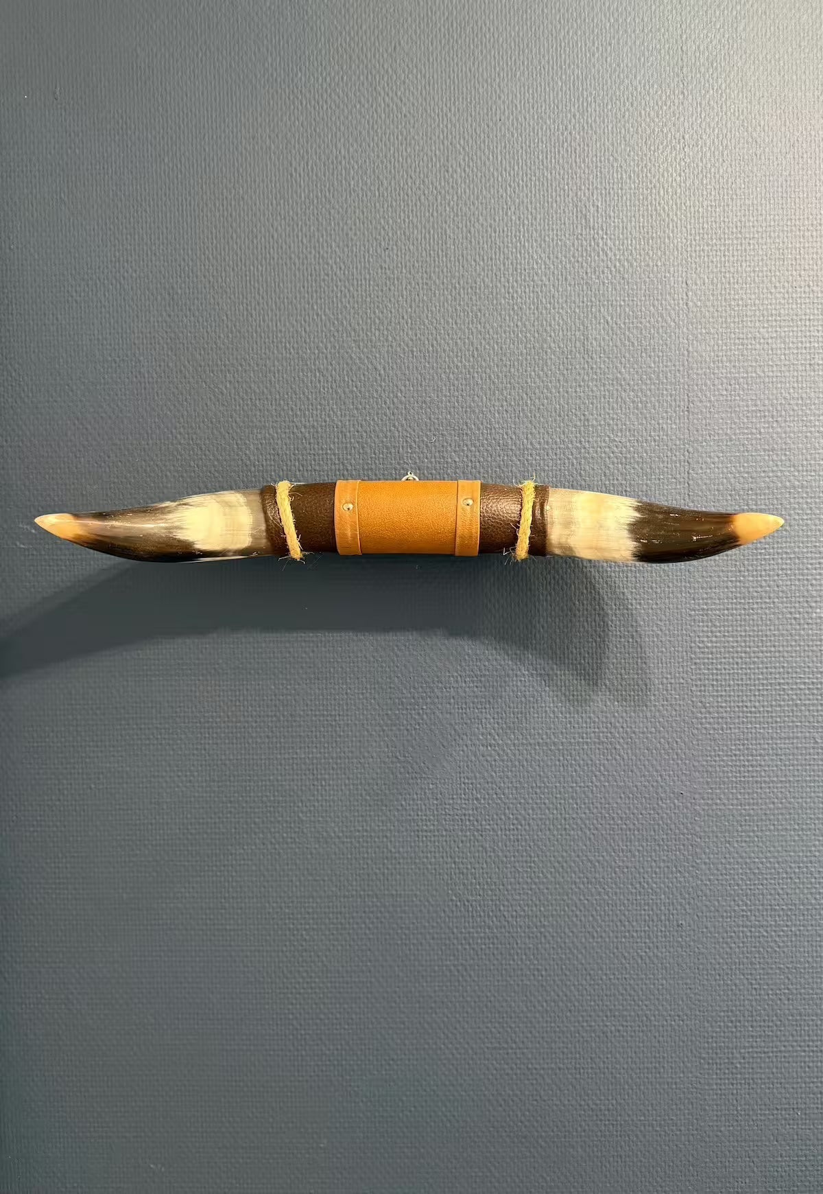 Bullhorn Wall Object Model 6 - Natural Horn Unique Piece with Leather-Wood Mount