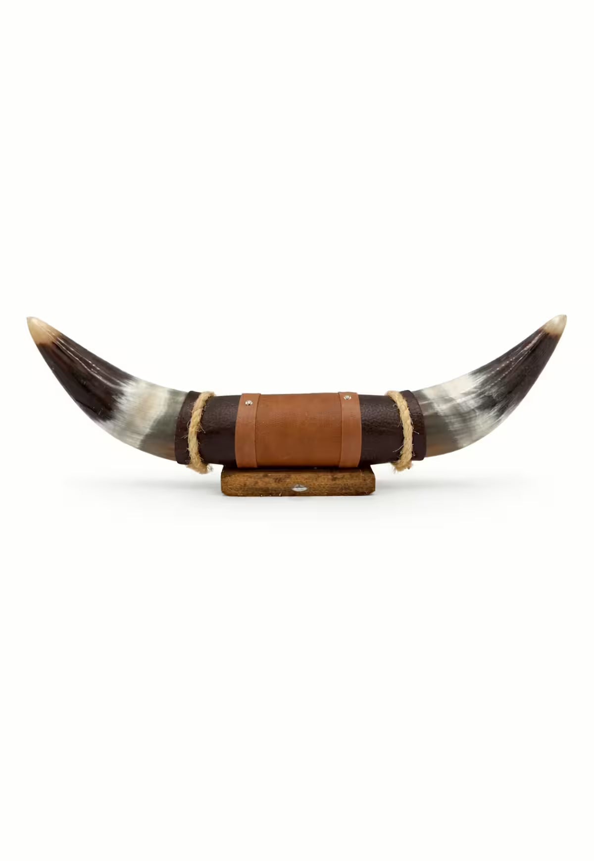 Bullhorn Wall Object Model 6 - Natural Horn Unique Piece with Leather-Wood Mount