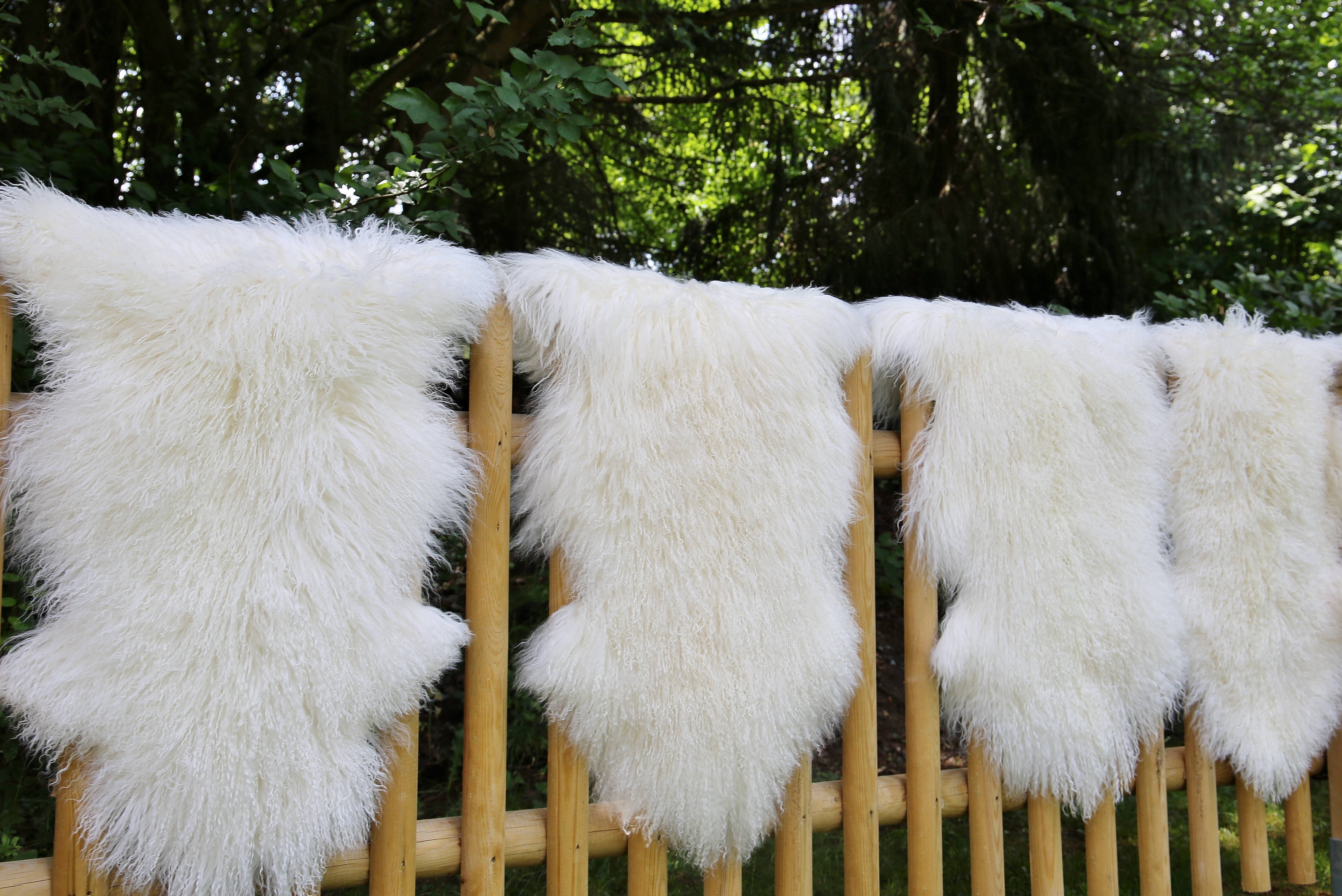 Lambskin Tibet White