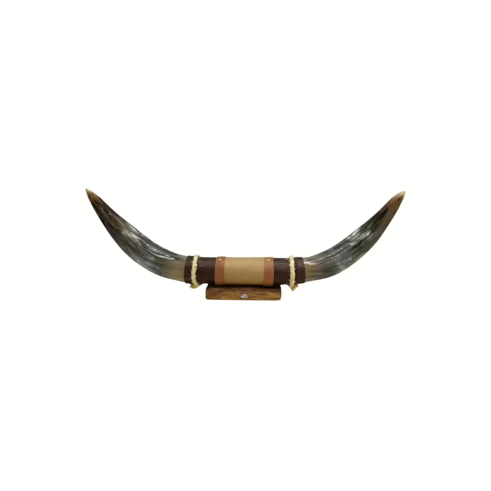 Bull Horn Wall Object Model 4 - Natural Horn Unique Piece with Leather-Wood Mount