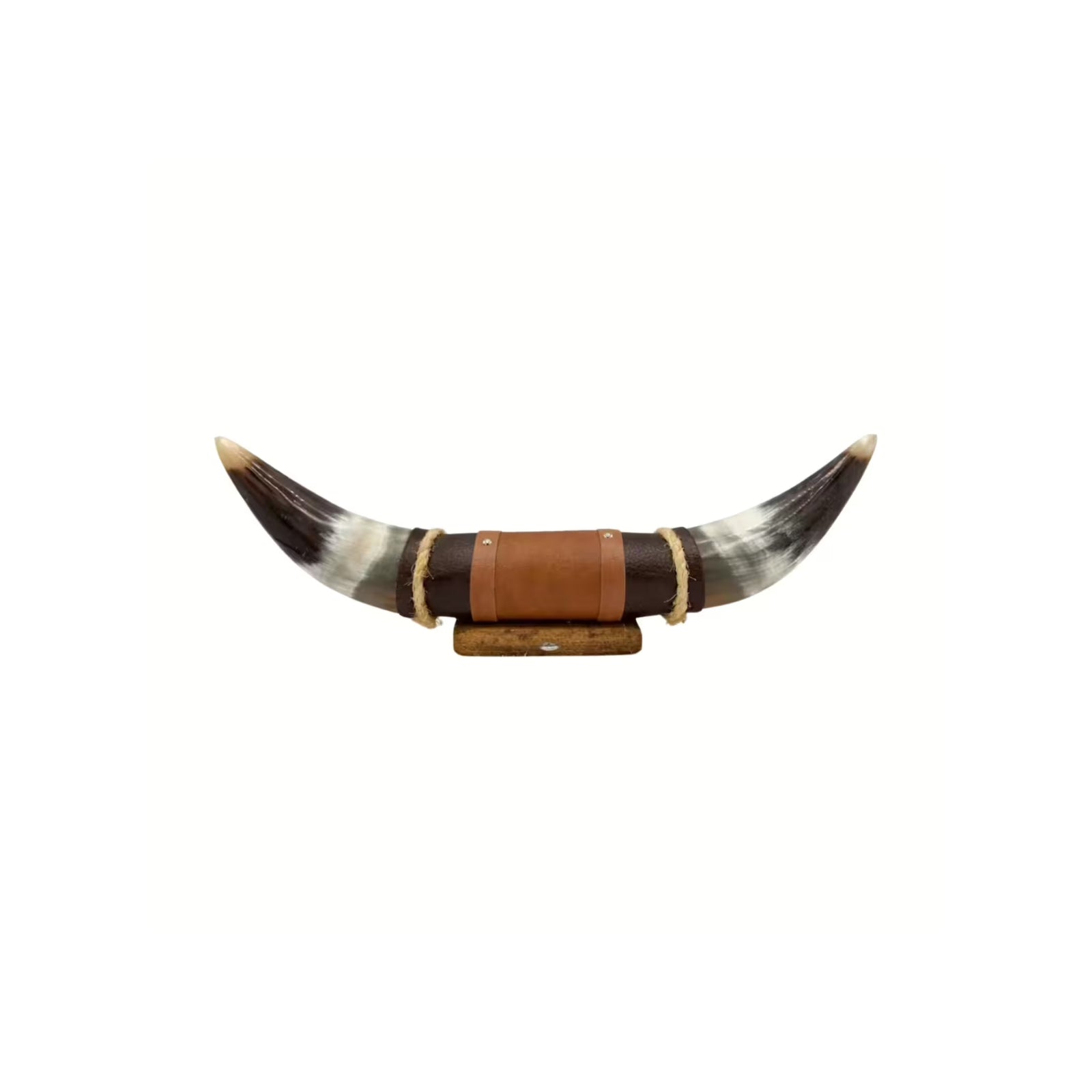 Bullhorn Wall Object Model 6 - Natural Horn Unique Piece with Leather-Wood Mount
